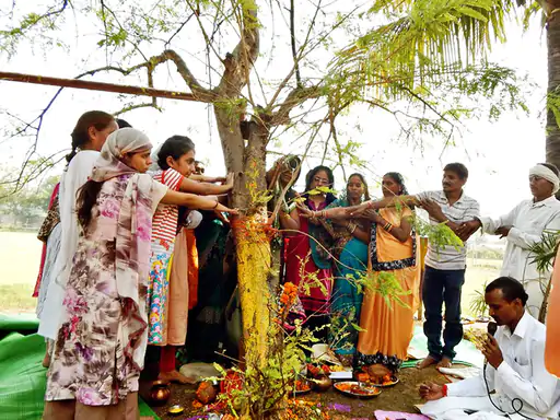 amla navami 730 1700491365