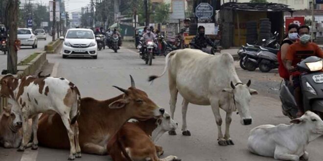 Chhattisgarh 09 2 19 660x330 1