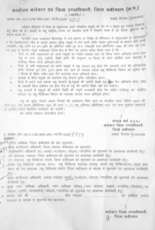 मवेशी खुले में छोड़े तो नहीं बख्शे जाएंगे पशुपालक – कवर्धा कलेक्टर का सख्त आदेश, तुरंत जानें क्या होगी कार्रवाई