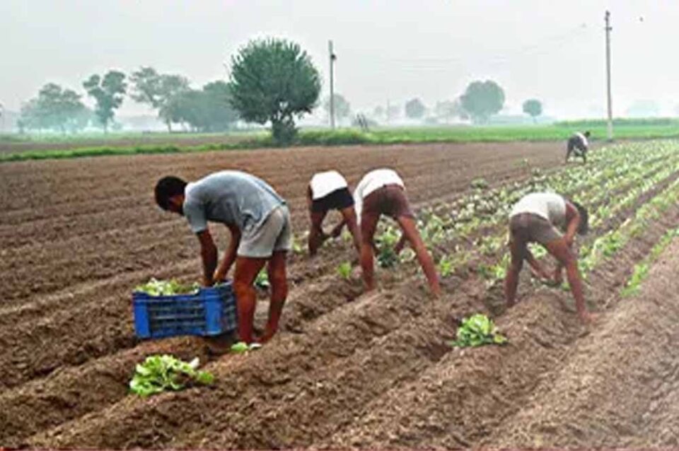 Chhattisgarh News 05 3 17