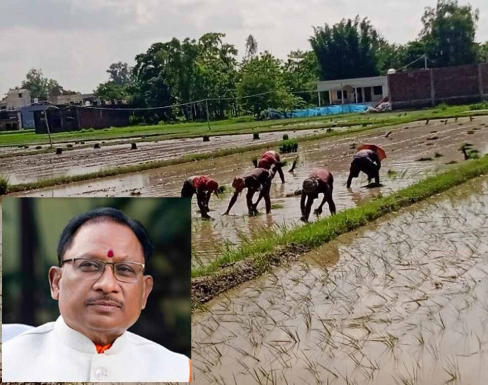 Chhattisgarh News 04 2 1