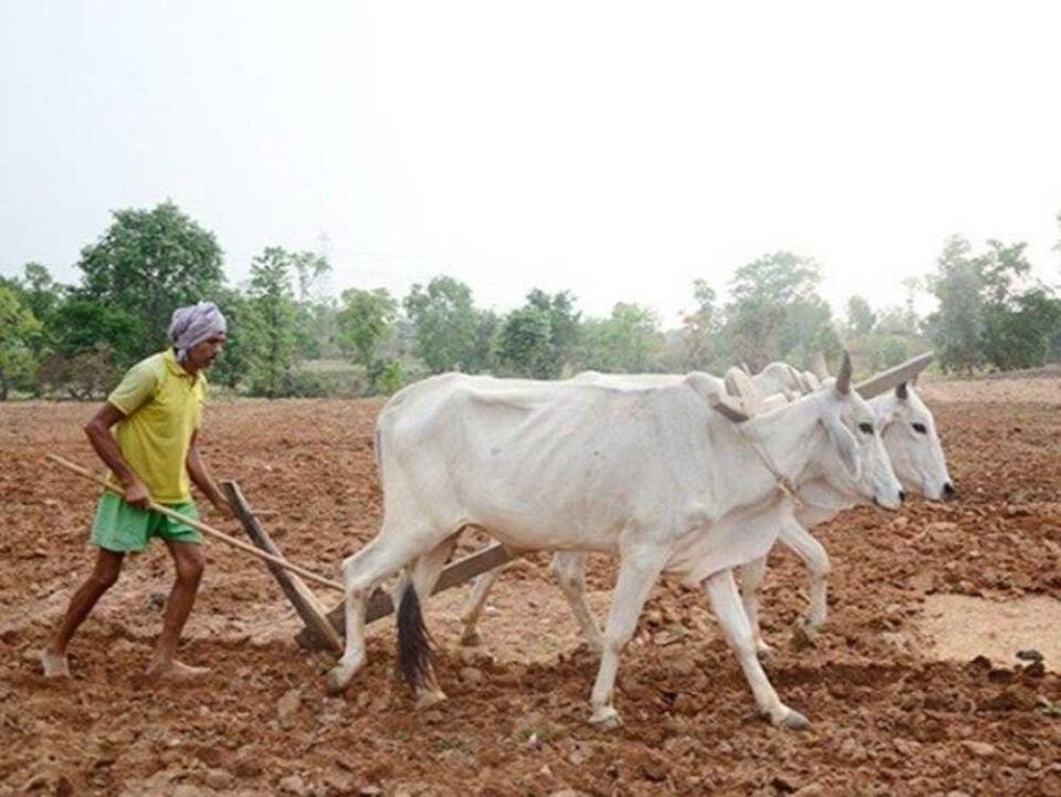kISAN 01 2