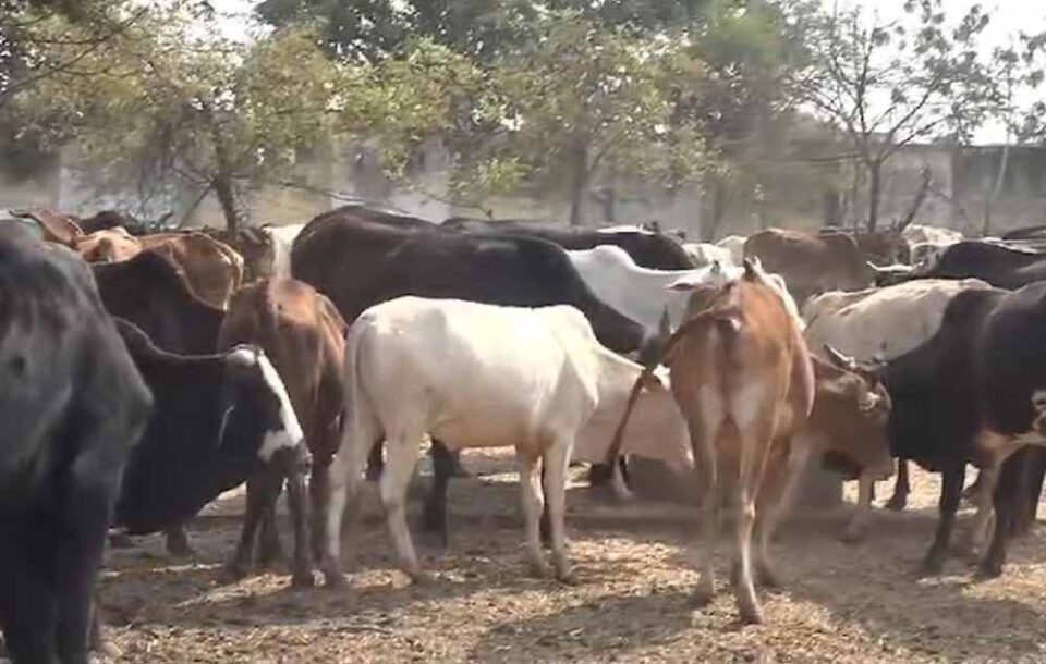 Chhattisgarh News 04 3